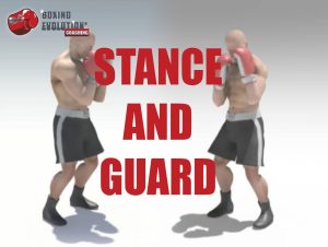 Stance and Guard