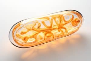 Metabolic adaptation